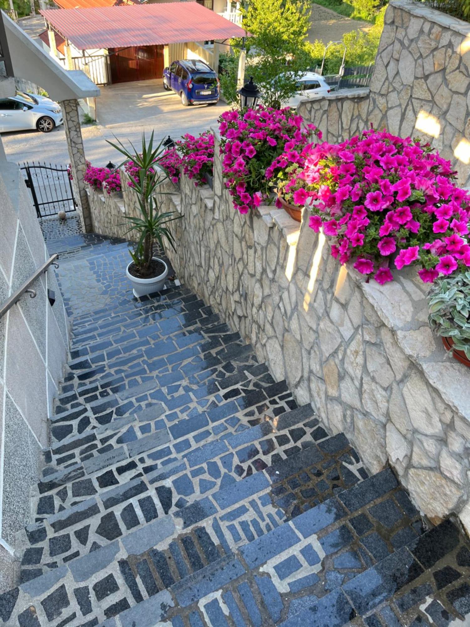 Bonita Apartments موستار المظهر الخارجي الصورة